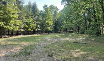 8923 Torch Lake Dr SE, Alden, MI 49612