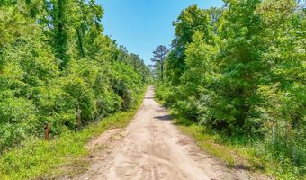 93 Acres Dell Rd, Bainbridge, GA 39819