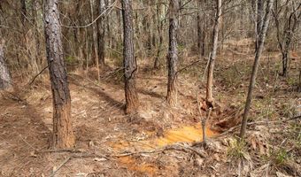 Tbd Pump Station Rd, Ashdown, AR 71822