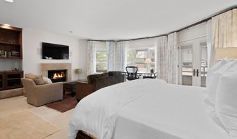 925 E DURANT Avenue 2, Aspen, CO 81611