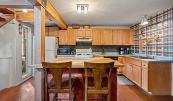 217 W Bleeker St, Aspen, CO 81611