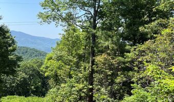 501 Clifftop Trl 26, Andrews, NC 28901