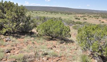 19 N8483, Concho, AZ 85924