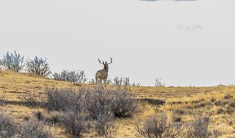 TBD Iron Mountain Rd, Chugwater, WY 82210