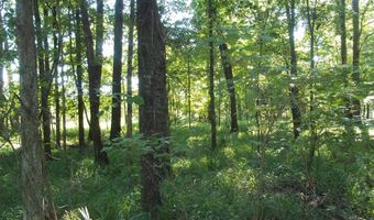 2200 Gillionville Rd, Albany, GA 31707