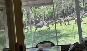 267 Back 9 Dr, Baneberry, TN 37890