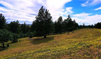 3159 Mona Rd, Aladdin, WY 82710