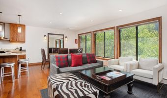 725 E Main St #309, Aspen, CO 81611