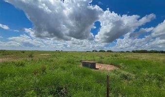 13115 CR 306, Abilene, TX 79601