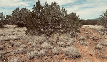 Lot 43nw Tides Trl, Ash Fork, AZ 86320