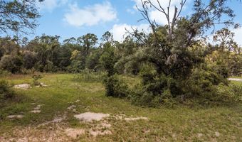 TBD 73rd Trl, Bell, FL 32619