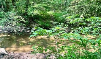 Coperas Cave Branch, Beattyville, KY 41311