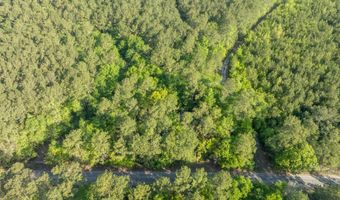 Ethridge Drive, Andrews, SC 29510