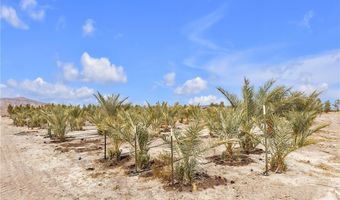 2253 N Saddleback Dr, Amargosa Valley, NV 89020