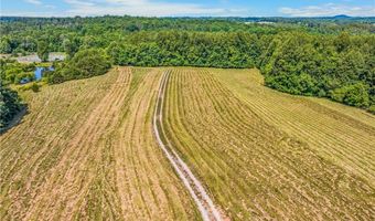 157 Buttercup Ln, Ararat, NC 27007