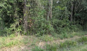 W. Newton Street, Bay St. Louis, MS 39520