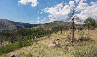 693 Cougar Dr, Bellvue, CO 80512