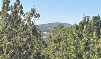 Lot 11 Uphill Trail 11, Vernon, AZ 85940