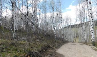4051 Golden Stone Ln, Ashton, ID 83420
