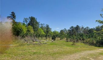 601 HERBERT BROWN Rd, Auburn, AL 36830
