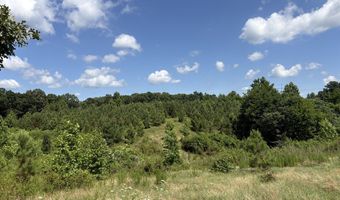 Beauty Hill Rd lot 1, Bethel Springs, TN 38315