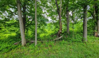 399 Bard Rd, Bennington, VT 05201