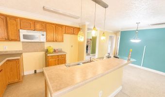 816 Menola Saint Johns Rd, Ahoskie, NC 27910