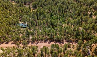 8 County Road 2083, Alpine, AZ 85920