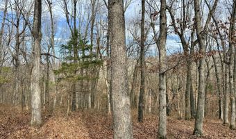 Farm Rd 1187 Lc, Ash Grove, MO 65604