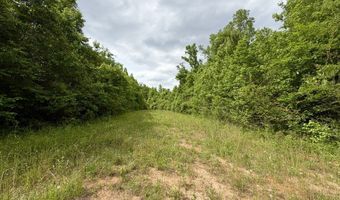 Fowler Road, Ashford, AL 36312