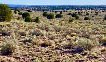 River Meadows Ranch Unit 3 Lot 204, Concho, AZ 85924