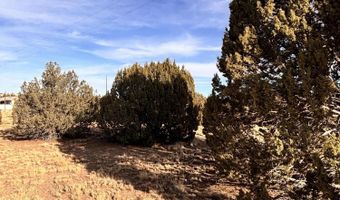37 Cinder Dr, Concho, AZ 85924