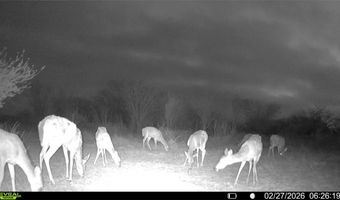 CR 119 lot 0, Alice, TX 78332