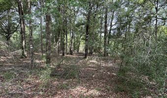 40 Ac +/- Old River Rd, Baker, FL 32531