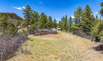1188 Ludwig Dr, Bayfield, CO 81122