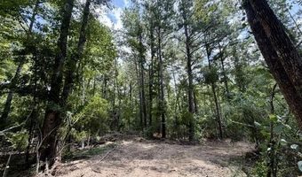 SE Lee Drive, Bogue Chitto, MS 39629