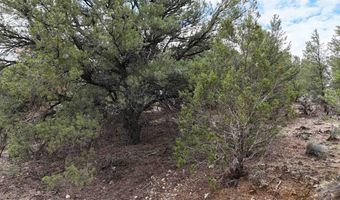 Unk Sandia Canyon Rd, Arroyo Hondo, NM 87513