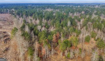 241 Foskey Cemetary Rd, Adrian, GA 31002