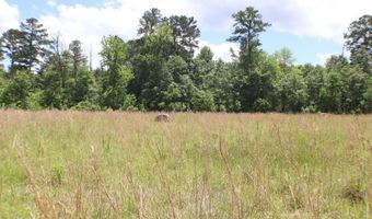 Vine Drive, Brandon, MS 39047
