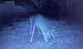 Mayes, Adair, OK 74330