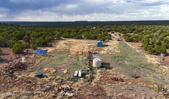 71 N8225, Concho, AZ 85924