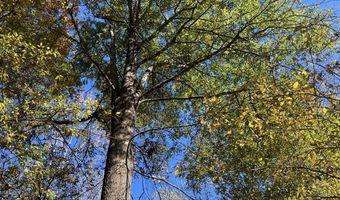 5151 Nash Rd, Batesville, MS 38606