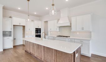 12042 STROMNESS Cv, Arlington, TN 38002