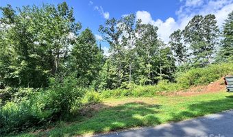 7 Winter Hawk Dr 3, Arden, NC 28704