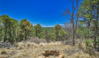 Rikki Rowdy Place, Aguilar, CO 81020