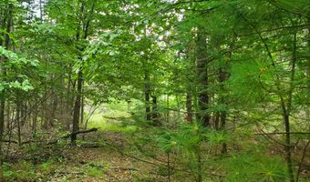 V/L 20AC Monaghan Point Road, Alpena, MI 49707