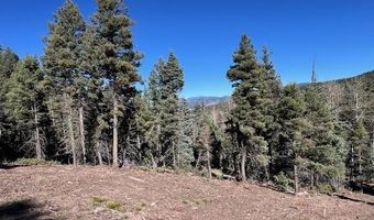 Vail Loop lot 373, Angel Fire, NM 87710