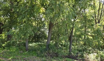 1 A55 Raindance 1A70 Blackhawk Lane, Apple River, IL 61001