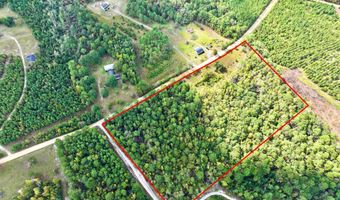 Eugene Ward Road, Adrian, GA 31002