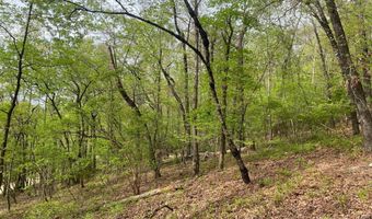 595 Ridgeview Lake Dr, Alabaster, AL 35007